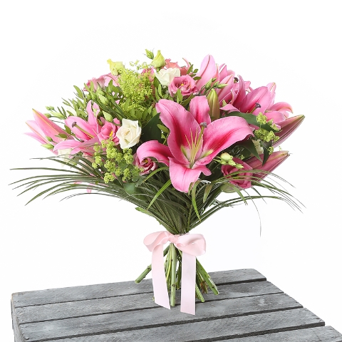 Blush Lily